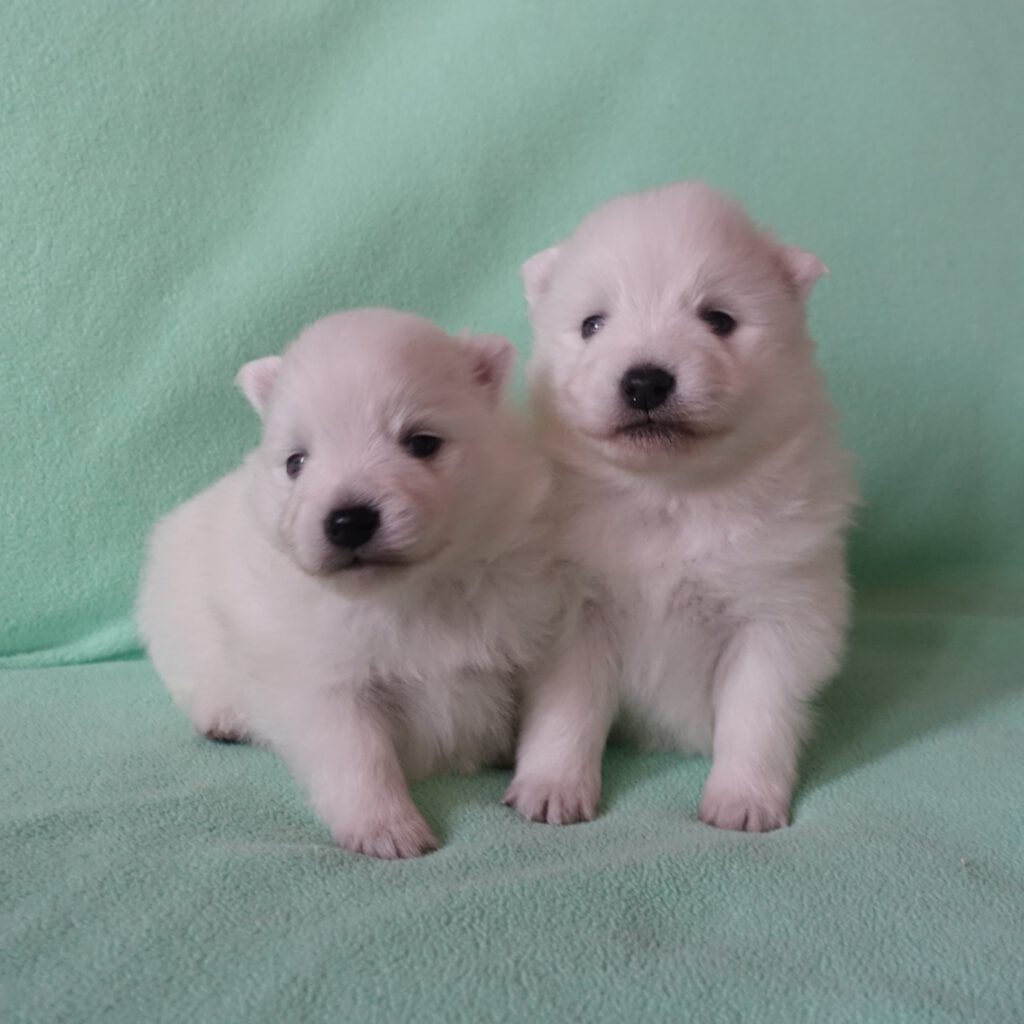 Dieses Bild hat ein leeres Alt-Attribut. Der Dateiname ist T19DSC01183-1024x1024.jpg